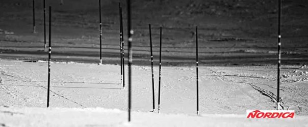 Nordica-Ski
